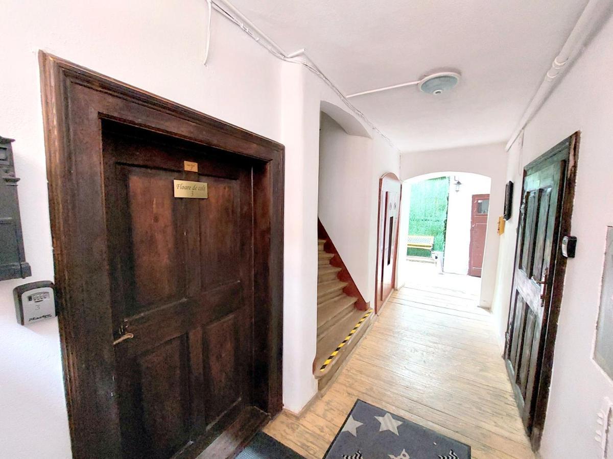 شقة Casa Roth براشوف المظهر الخارجي الصورة